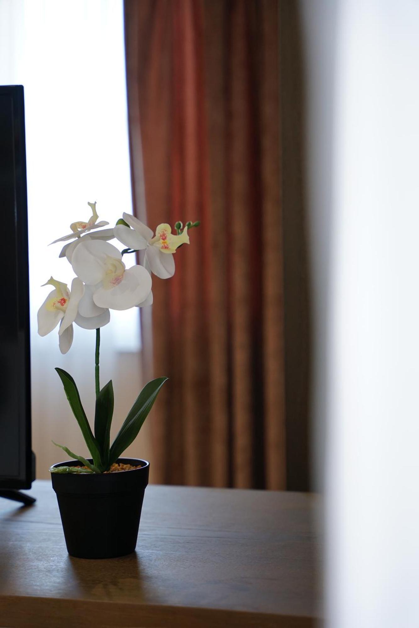 טיראנה Doanesia Premium Hotel & Spa מראה חיצוני תמונה